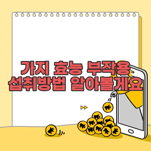 가지 효능 부작용 섭취방법 알아볼게요