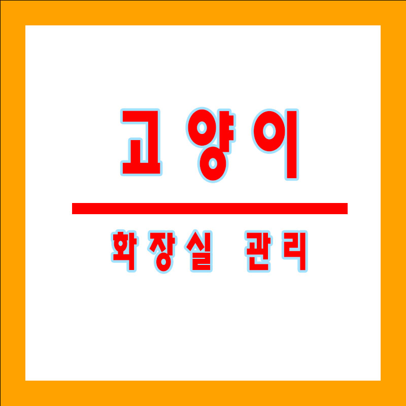 고양이