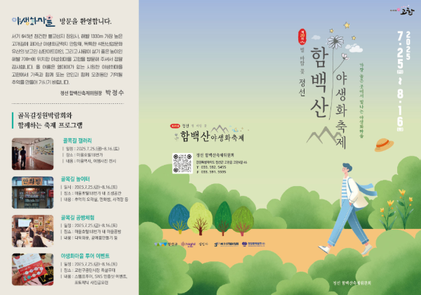 정선 함백산 야생화 축제