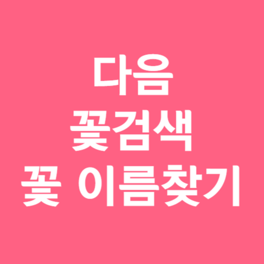 다음 꽃검색