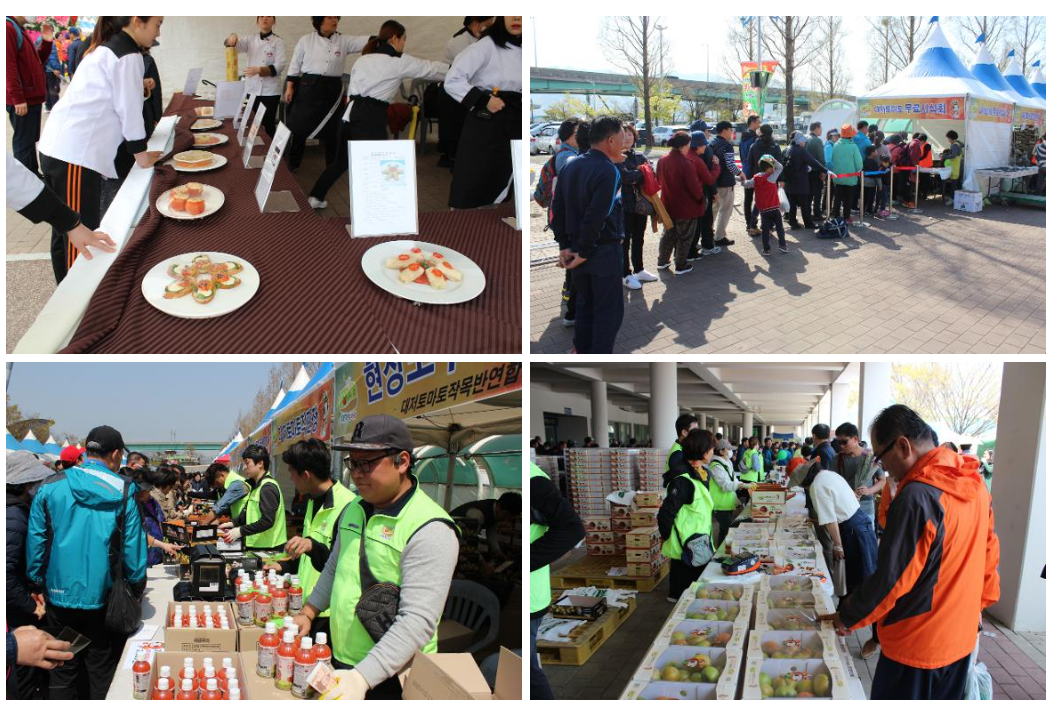 대저 토마토 축제