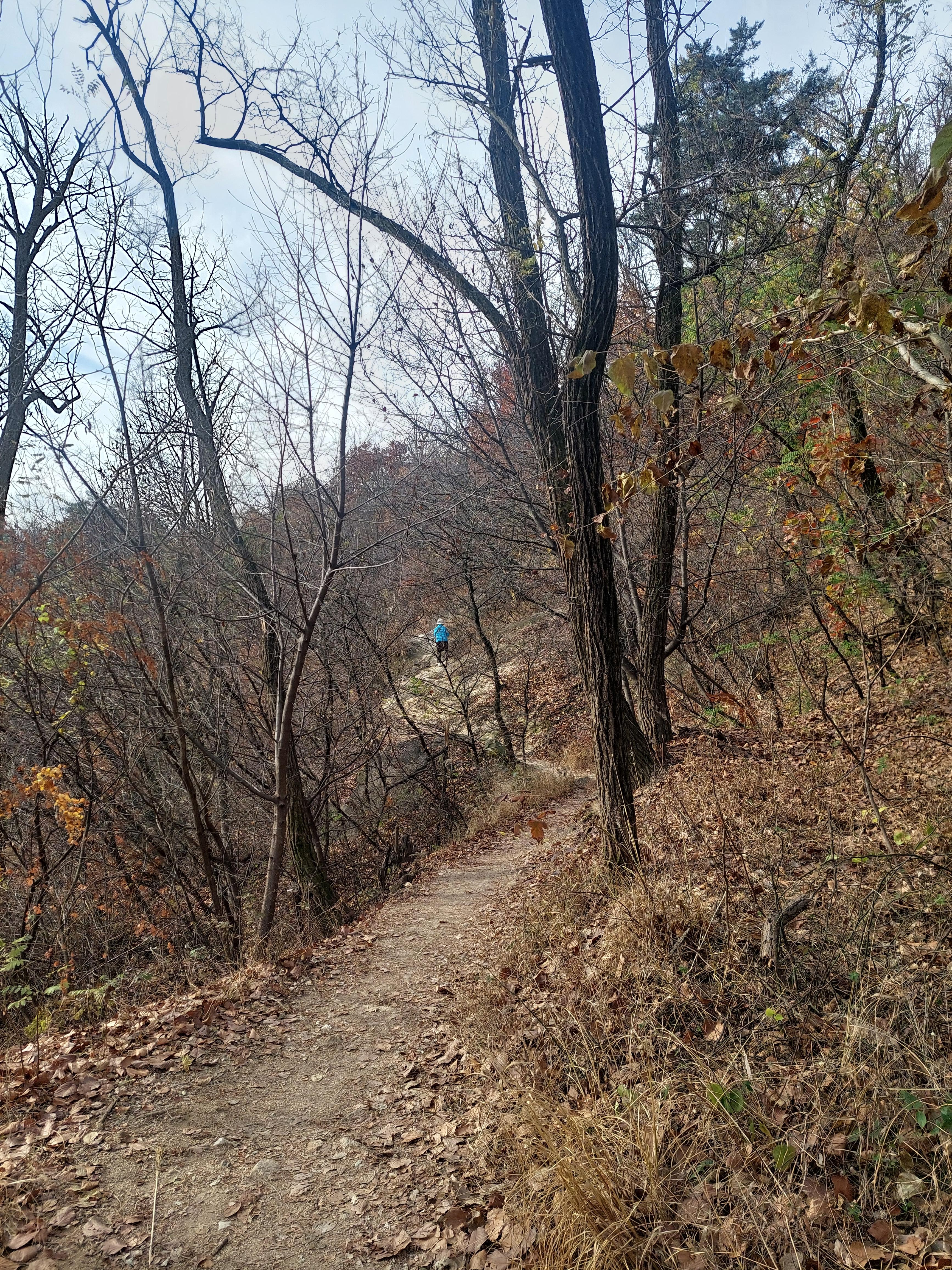 안산