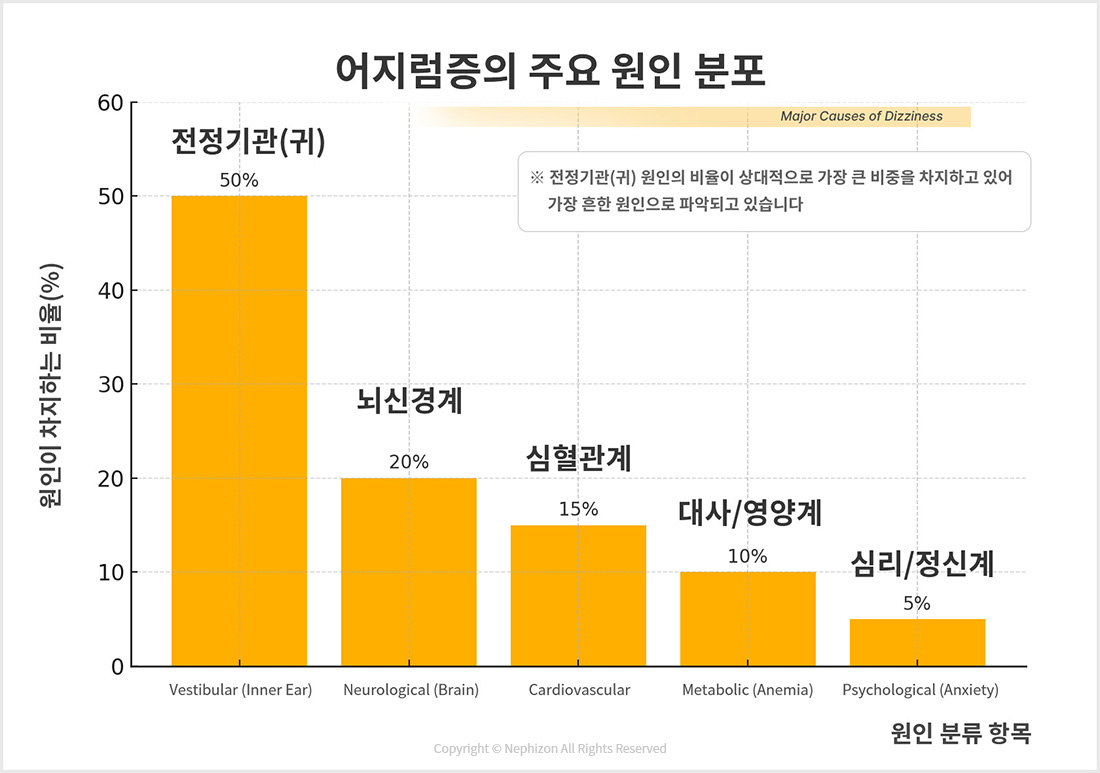 어지럼증 주요 원인별 비율 비교 그래프