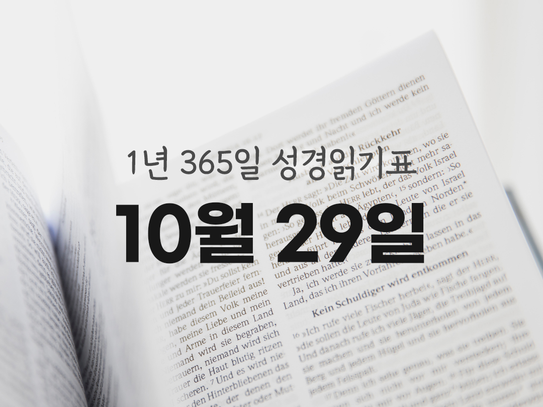 1년 365일 성경읽기표 10월 29일 루카복음 성경읽기 진도표 다운로드