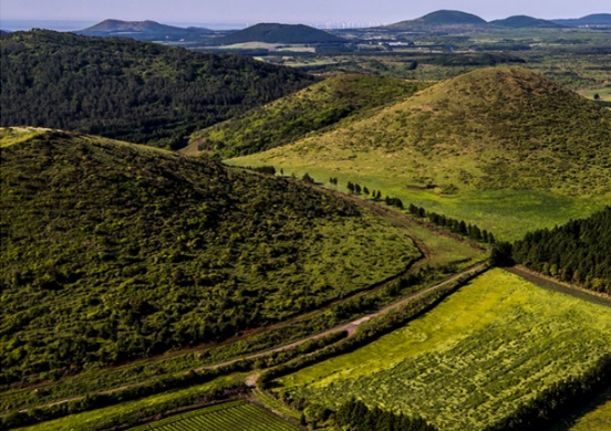 제주도 가볼만한 곳