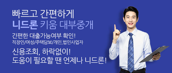 니드론-대부중개