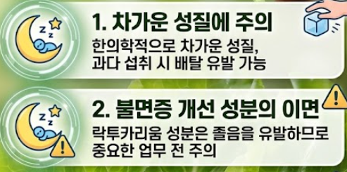 상추 효능