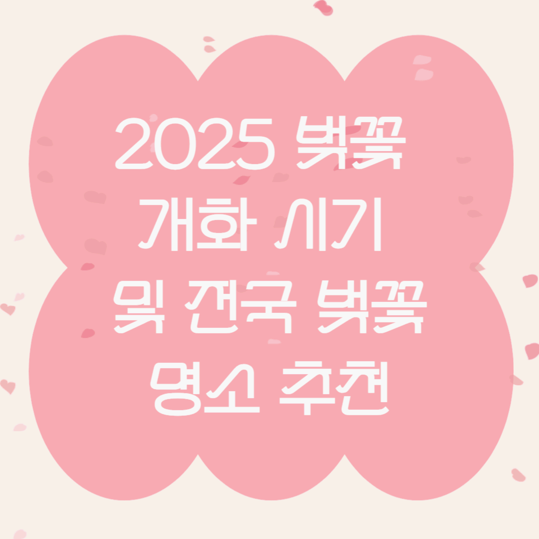 2025 벚꽃 개화 시기 및 전국 벚꽃 명소 추천