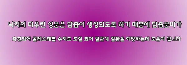  낙지의 타우린 성분은 담즙이 생성되도록 하기 때문에 담즙분비가 촉진되어 콜레스테롤 수치도 조절 되어 혈관계 질환을 예방하는데 도움이 됩니다