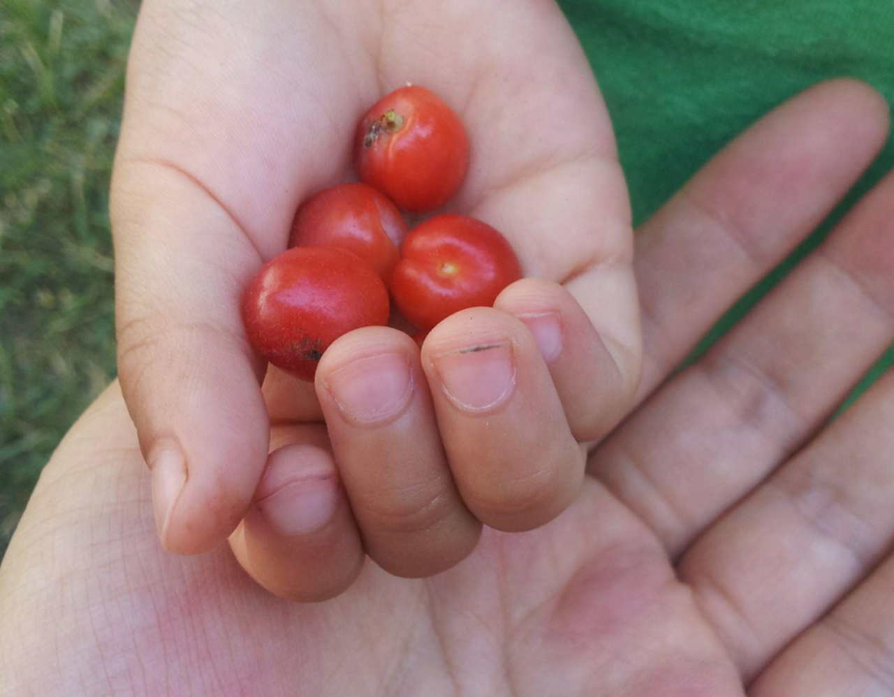 기초생활수급자 자격요건
