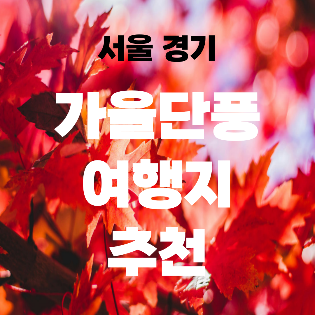서울경기 단풍추천 명소 (+방문자수 확인하기)