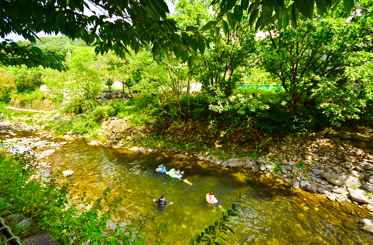 경기-가평-물의나라-캠핑장-사진-입니다.