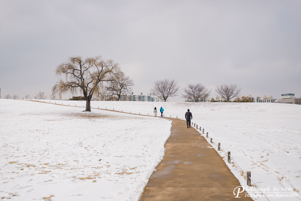 올림픽공원 산책