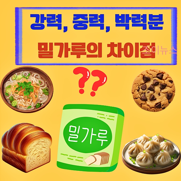강력, 중력, 박력분 밀가루의 차이점과 활용법