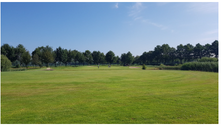 파크골프 경기규칙 기본자세