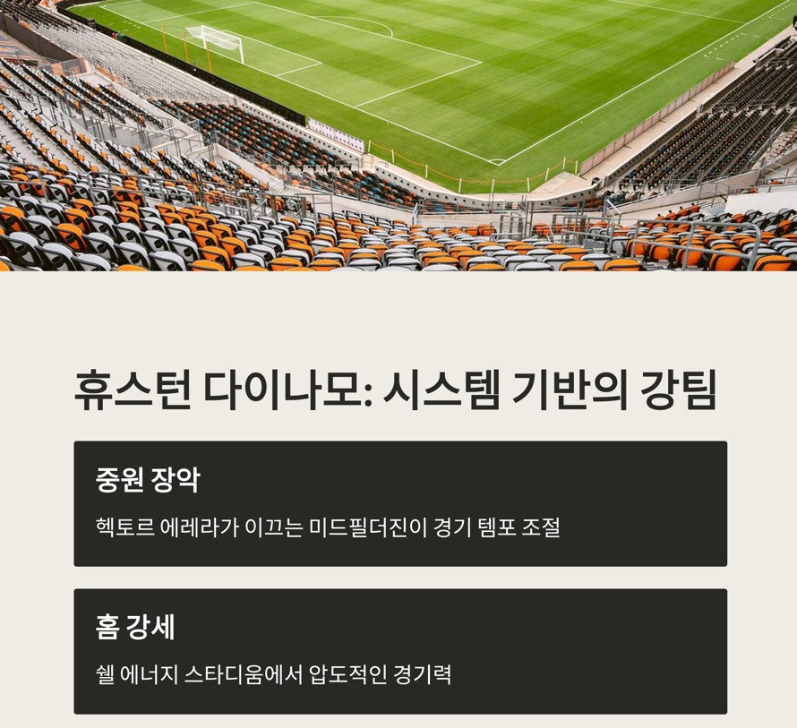 휴스턴 다이나모: 시스템 기반의 강팀