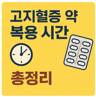 고지혈복용시간총정리