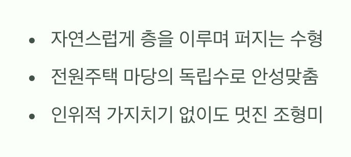 5. 스스로 작품이 되는 우아한 자태