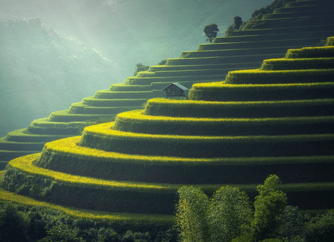 도전은 성장의 시작, 두려움은 변화의 문