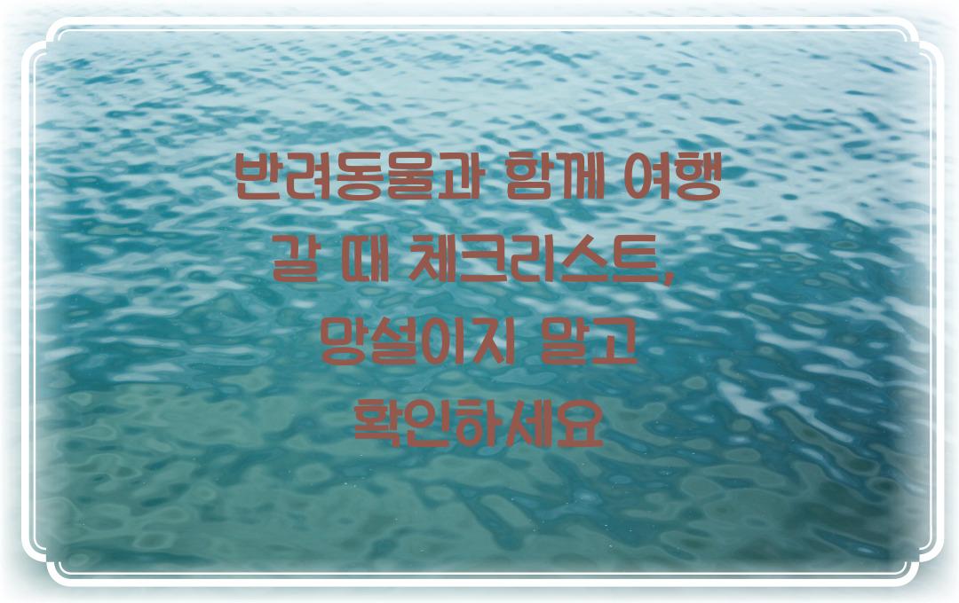 반려동물과 함께 여행 갈 때 체크리스트