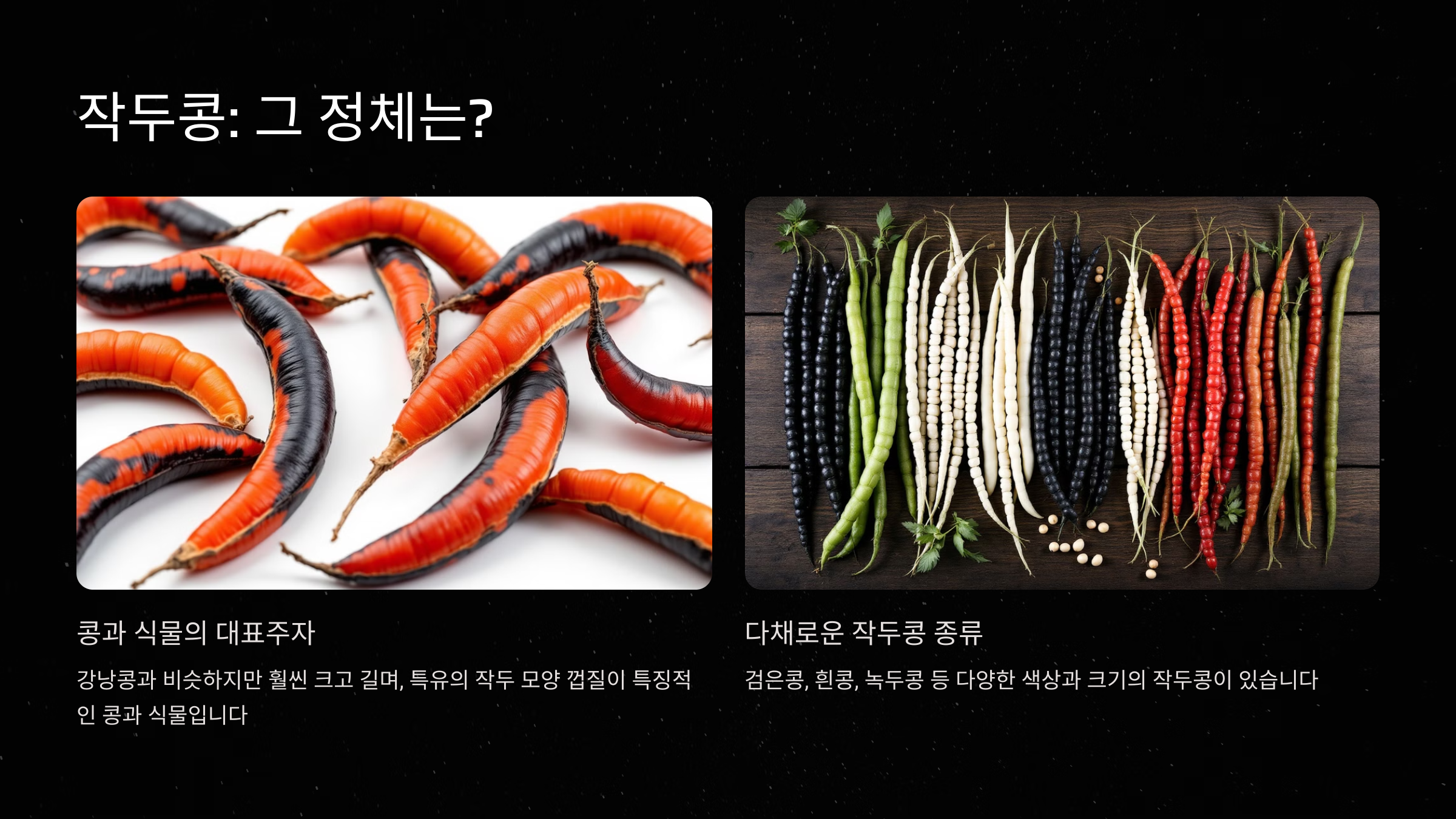 작두콩이란 무엇인가?