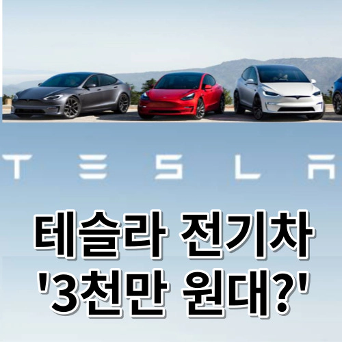 테슬라-3천만 원 대에 살 수 있다?