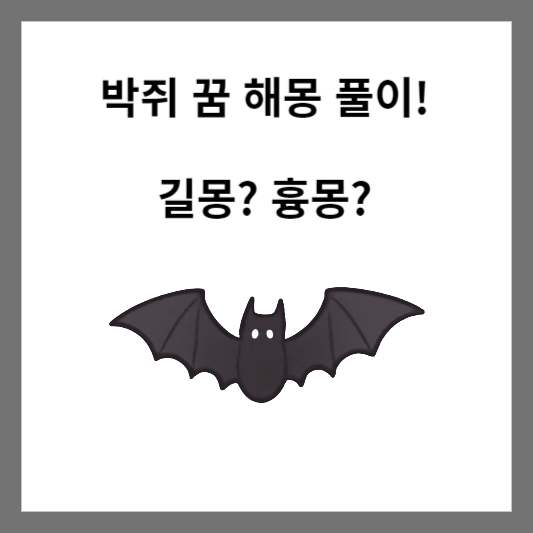 박쥐 꿈 해몽 풀이
