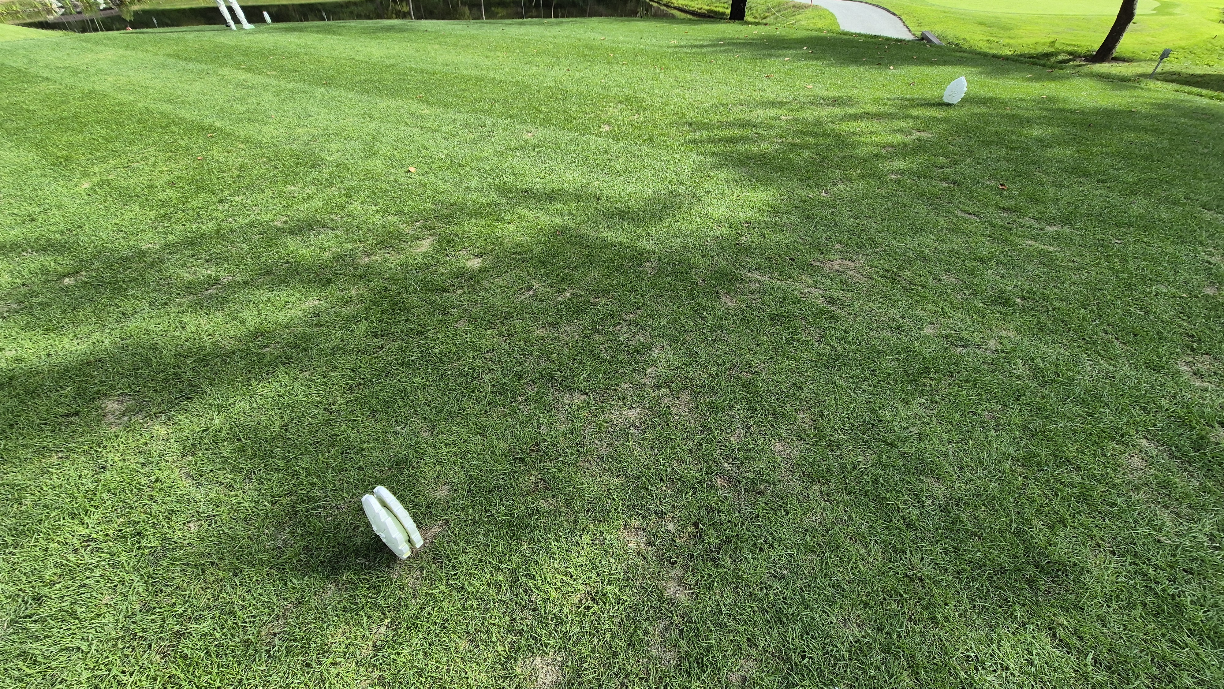 오크힐스cc 티잉구역 상태