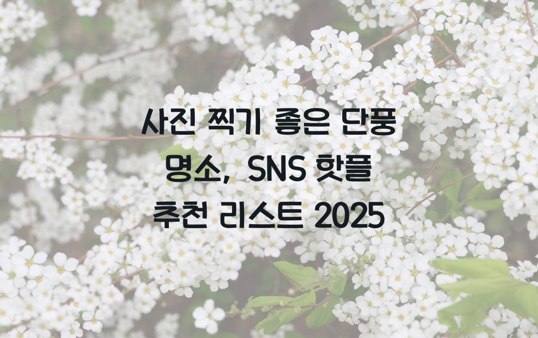 사진 찍기 좋은 단풍 명소, SNS 핫플만 모았다