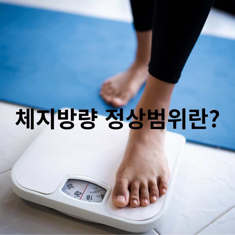 체지방량 정상범위&amp;#44; 남녀별 건강 수치와 관리 방법