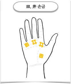 밭 전(전田), 우물 정(井)자 손금