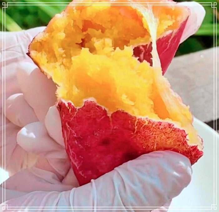 생방송투데이 서울 근교 강화 디저트 베이커리 카페 강화도 속노랑 고구마빵 맛집