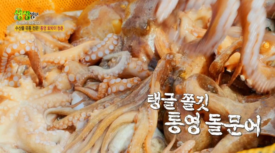 생생정보 통영토박이청춘 통영돌문어