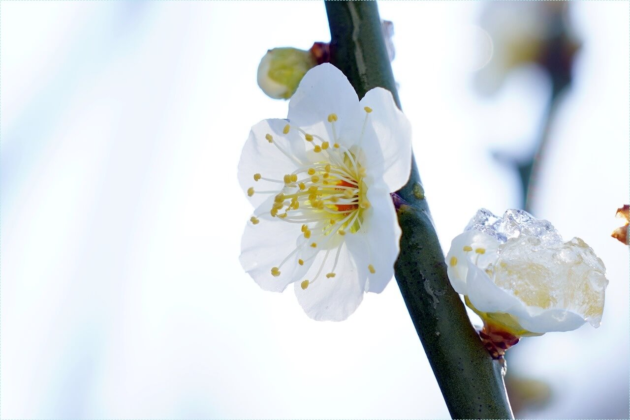 은행 적금 이자 높은곳