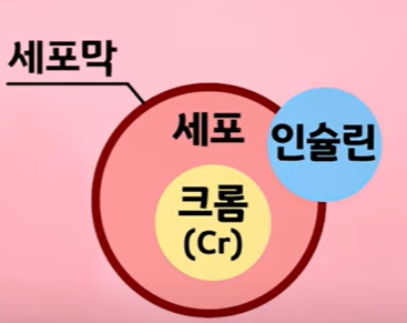 당뇨 영양제