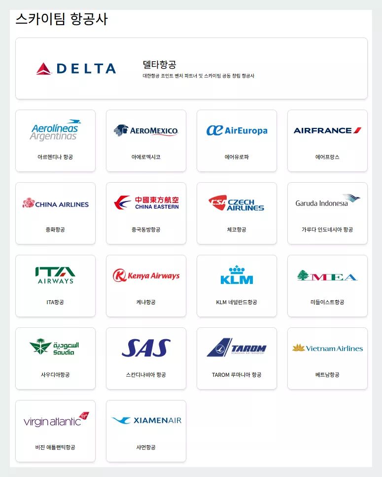 스카이팀 항공사