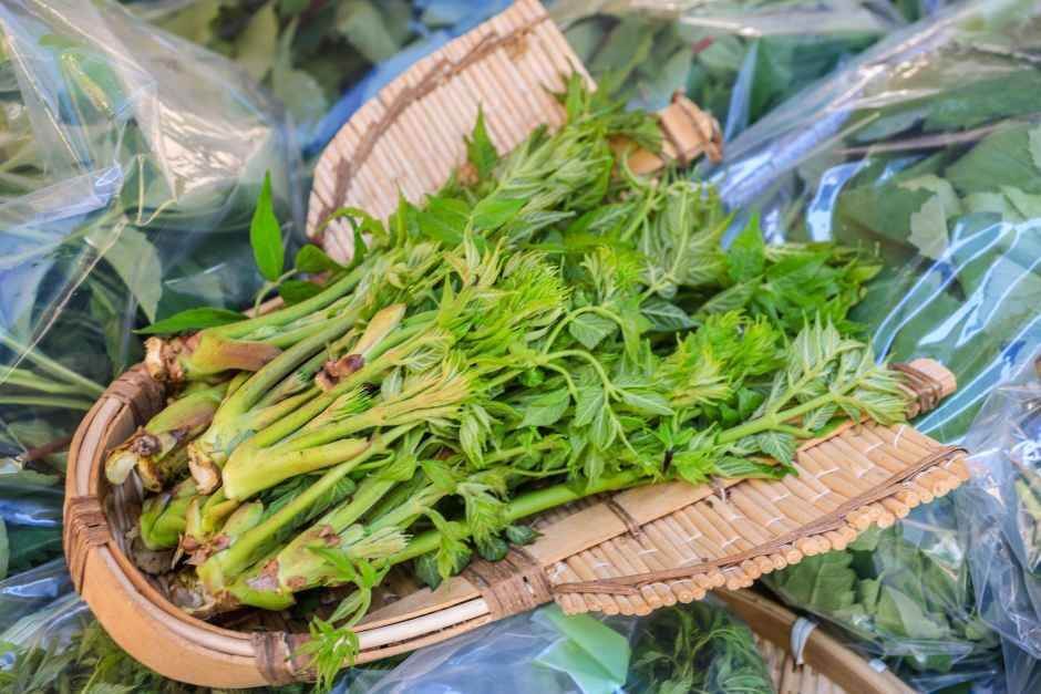 양평 용문산 산나물축제 2026 완벽 가이드