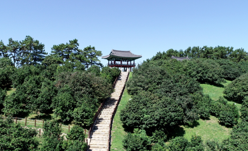 마량리 동백나무 숲
