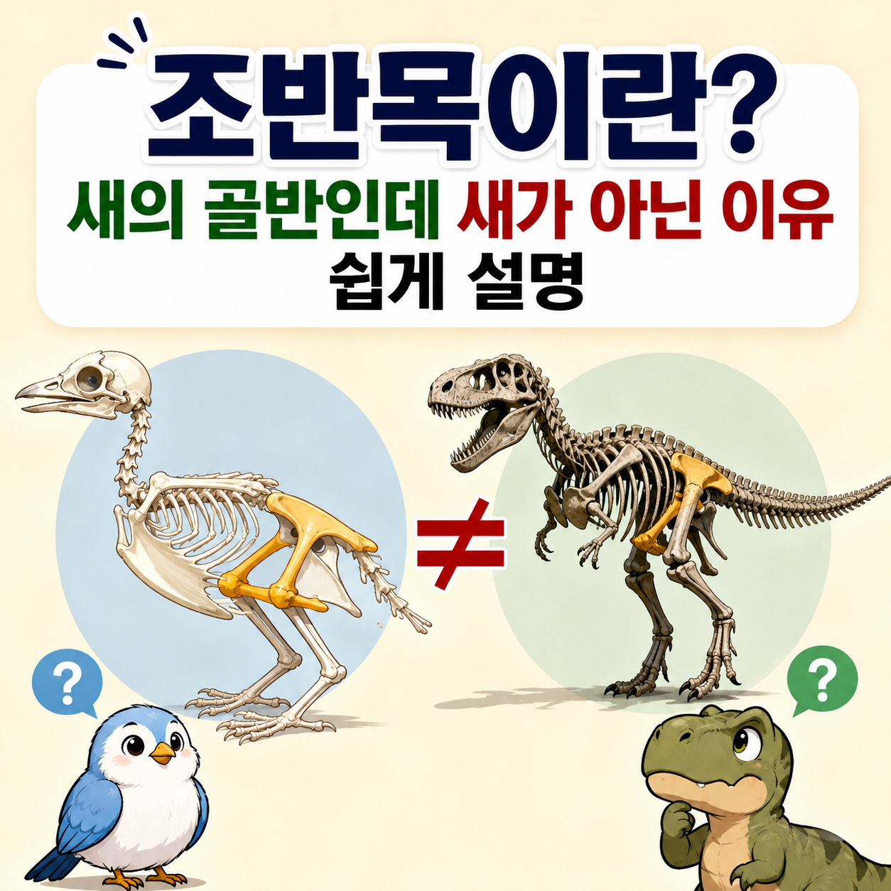 조반목이란