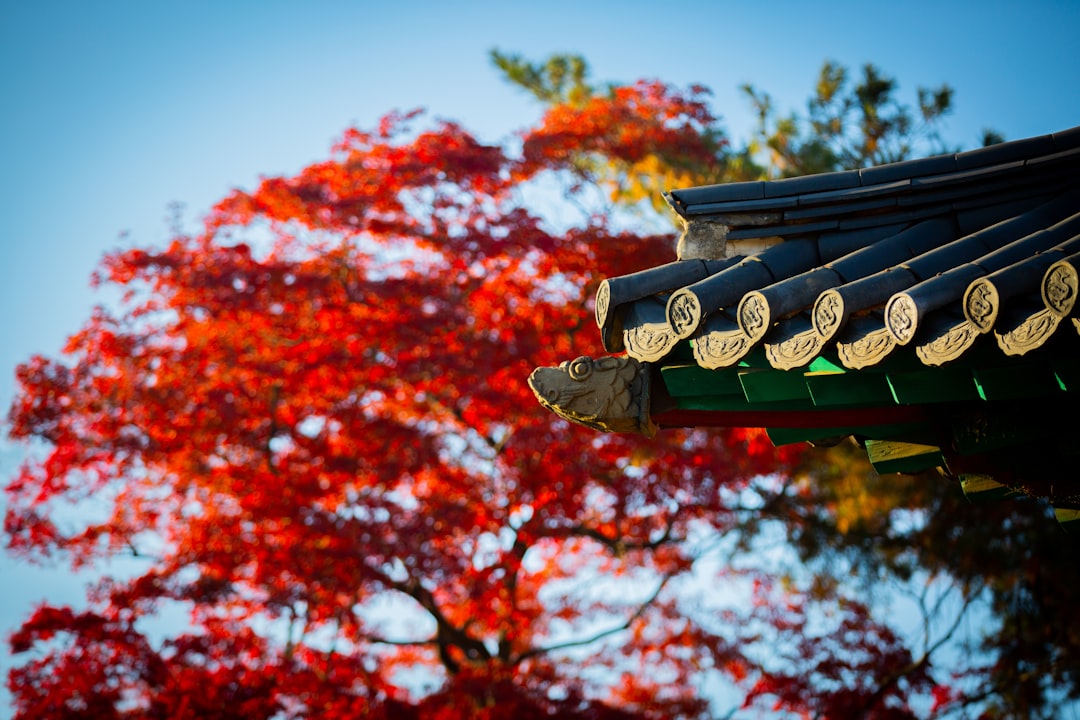 Hanok