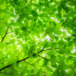 국립공원 예약통합시스템 예약