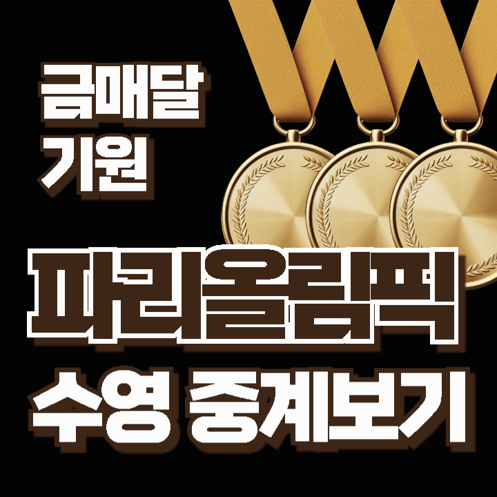 2024 파리올림픽 한국 수영(경영) 경기일정 대표선수 무료중계