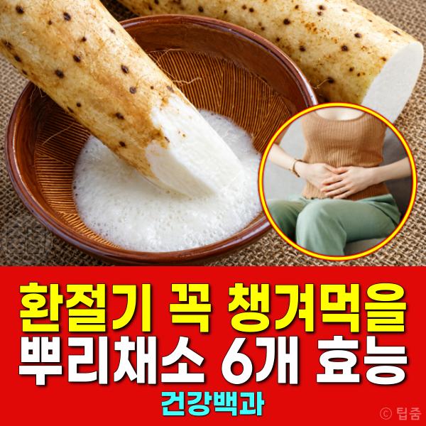환절기 건강관리 뿌리채소 효능
