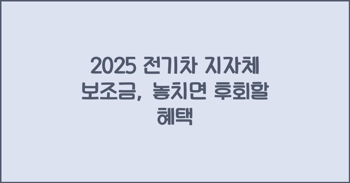 2025 전기차 지자체 보조금