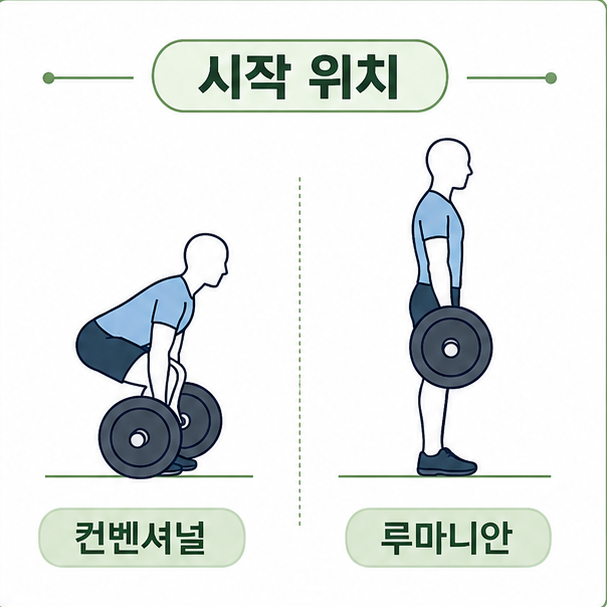 두 데드리프트의 시작 위치 비교, 바닥에서 시작하는 컨벤셔널과 선 자세에서 시작하는 루마니안을 나눈 그림