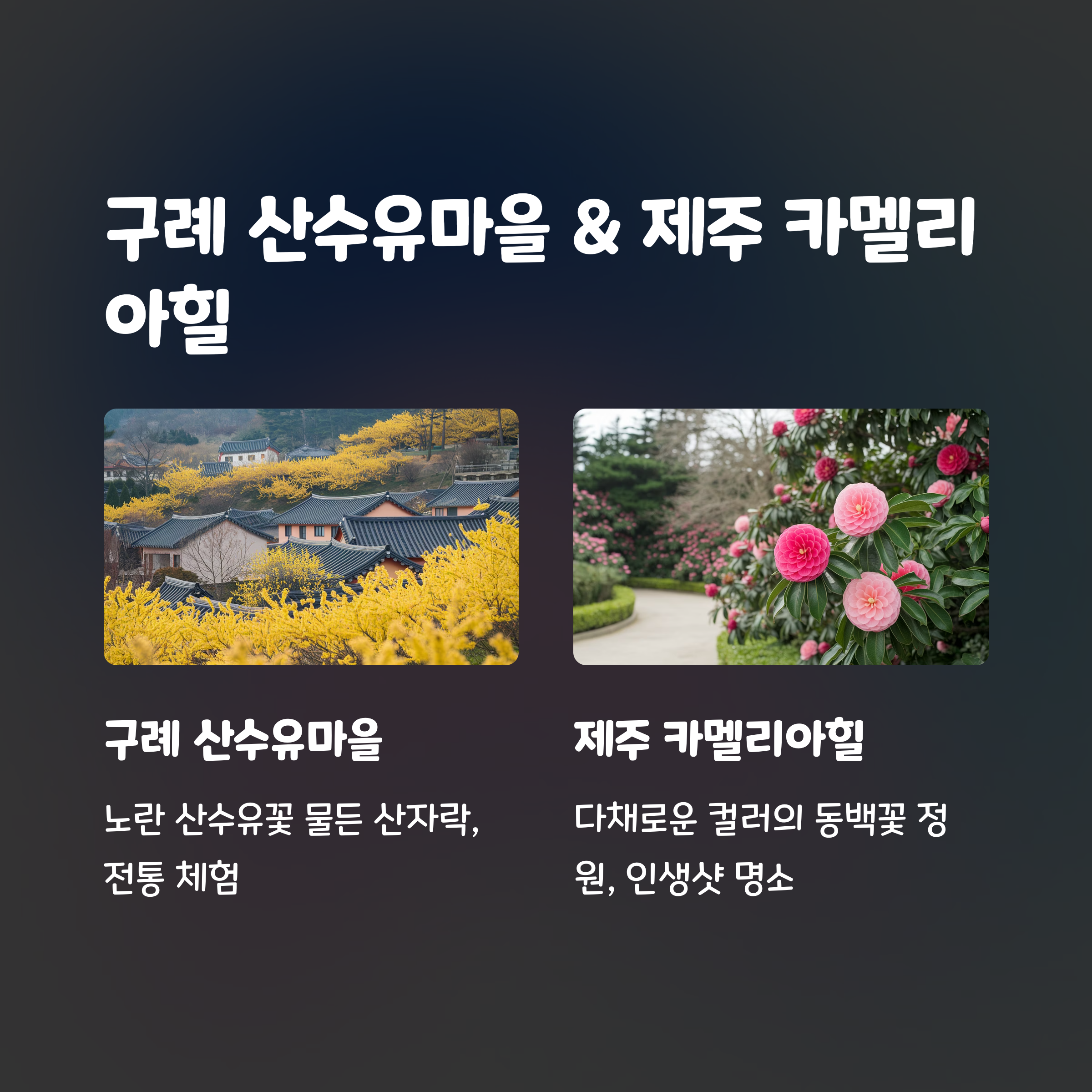 카멜리아힐