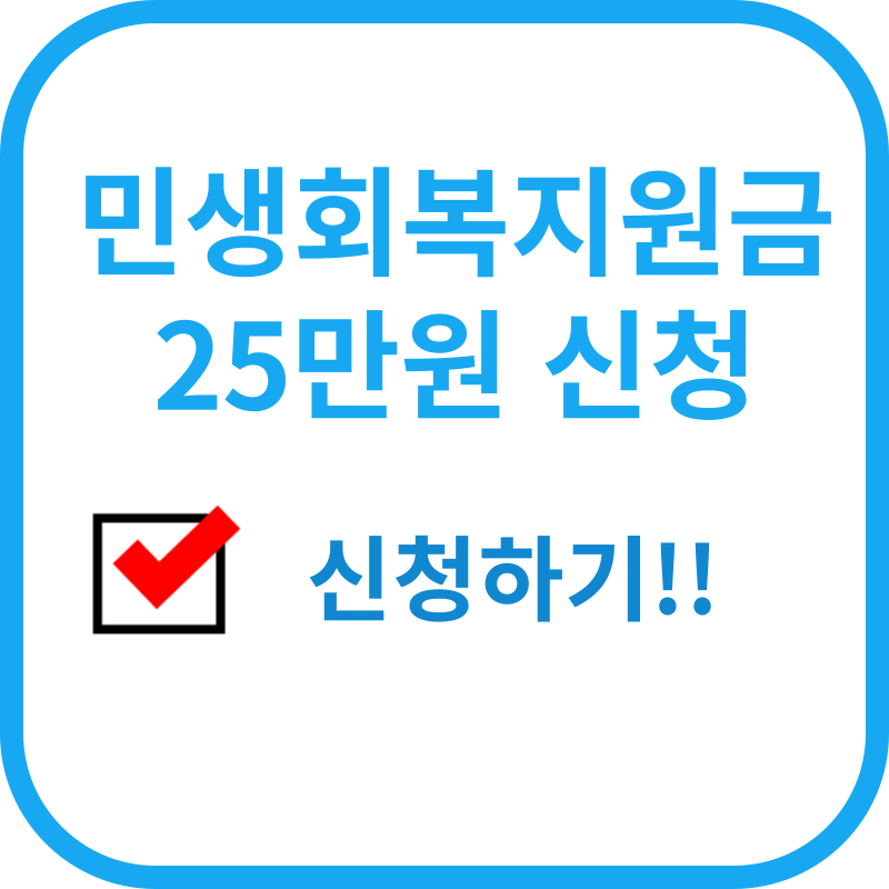 민생회복지원금 25만원