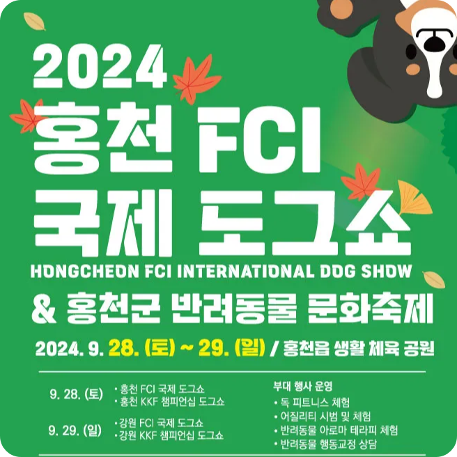 홍천 생활체육 공원 반려동물 문화축제