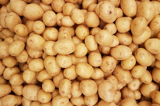 감자, 특성/용도/건강상이점/심는시기/추비/순치기/수확시기/보관법