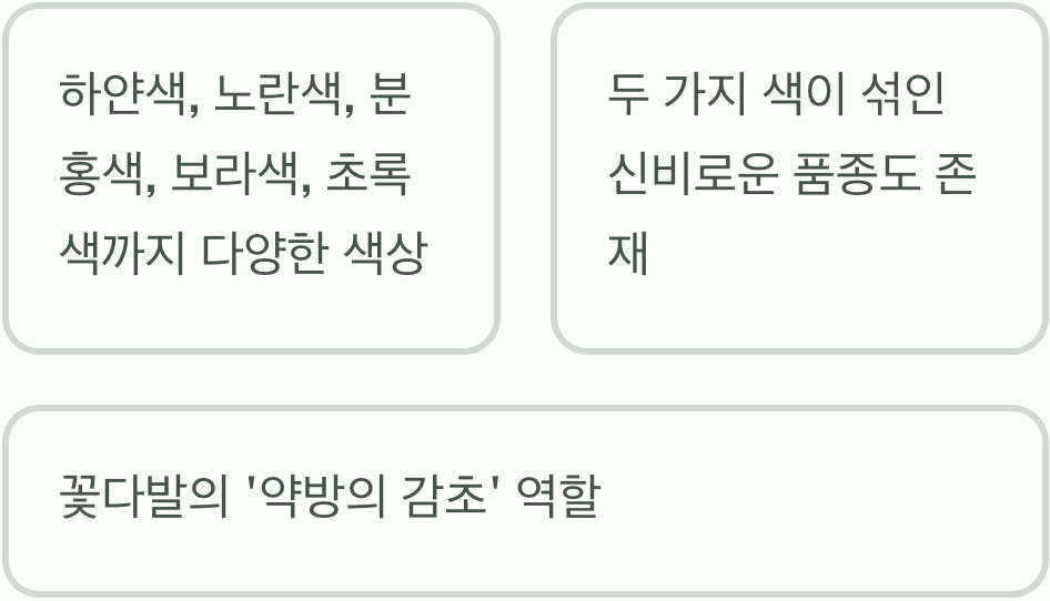 색색의 아이스크림, 다채로운 색상